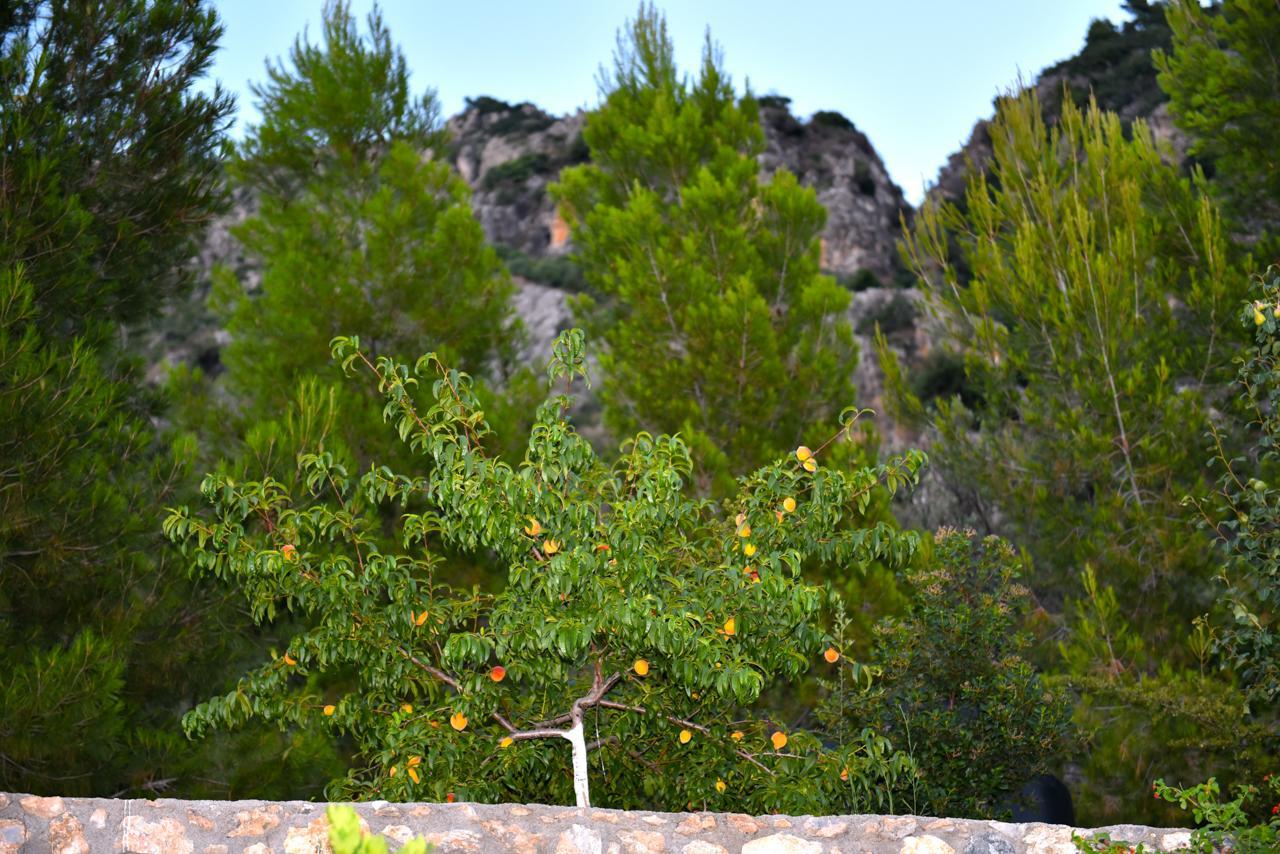 Bay View Guesthouses Kalamata Zewnętrze zdjęcie